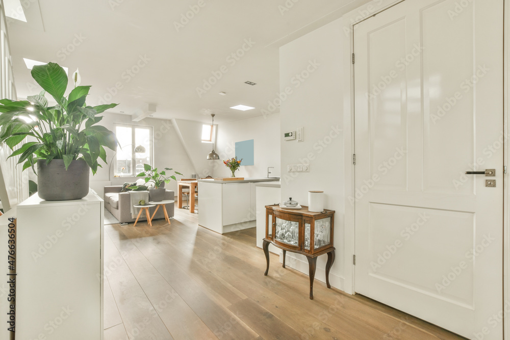 Entrance of a house with an open space with living room and kitchen Entrance of a house with an open space with living room and kitchen