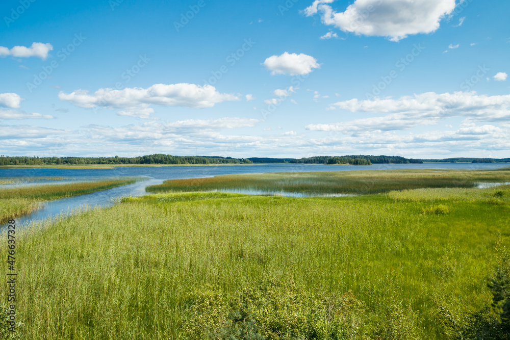 Summer view to the lake Urajarvi with green reeds. Summer view to the lake Urajarvi with green reeds.