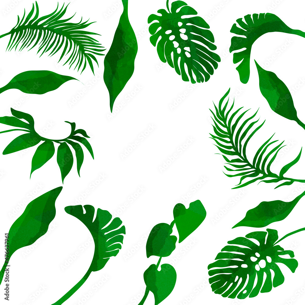 Ilustracja motyw roślinny zielone liście na białym tle - obrazy, fototapety, plakaty 