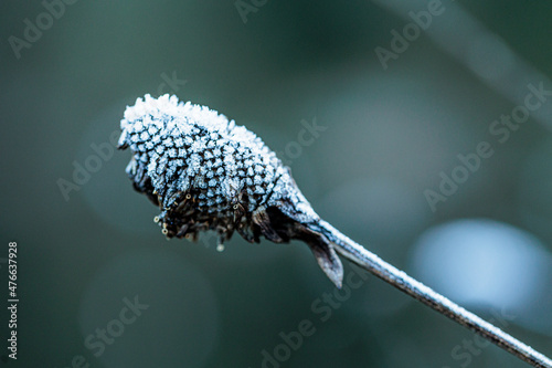 2021-12-21, GER, Bayern, Passau: Wintereinbruch mit strengem Frost und Rauhreif in Niederbayern. photo