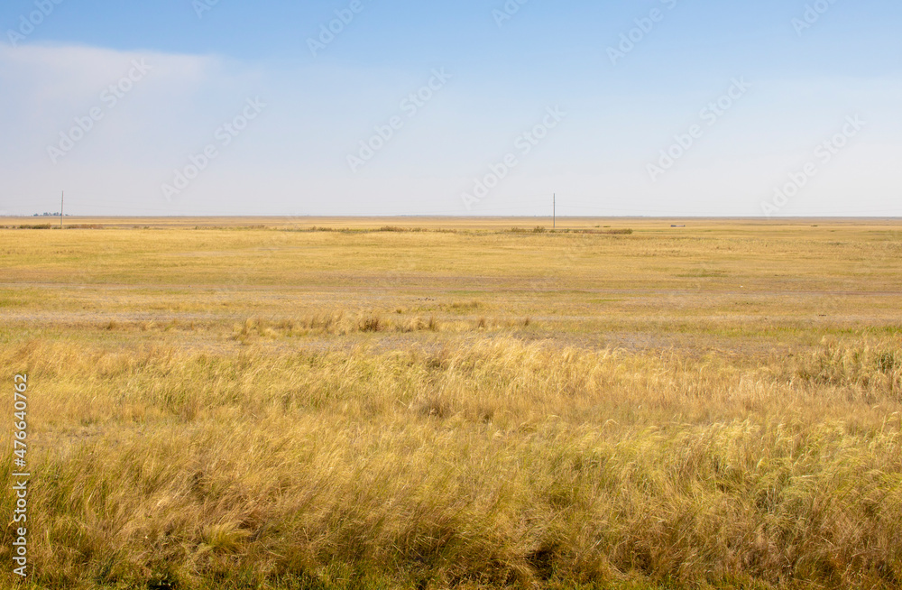Steppe yellow grass in Kazakhstan. Astana, Central Asia Steppe yellow grass in Kazakhstan. Astana, Central Asia