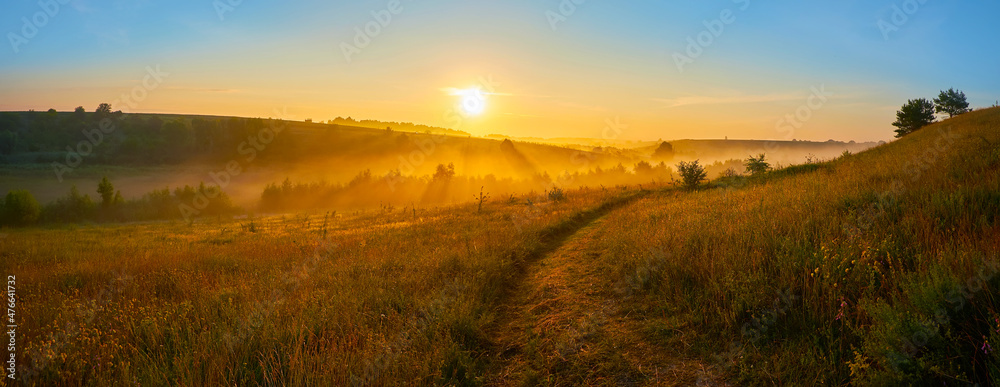 The foggy sunrise over the fields and meadows - obrazy, fototapety, plakaty 