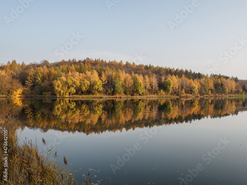 Reflection of autumn trees in the water of the Lake Malomv  lgy