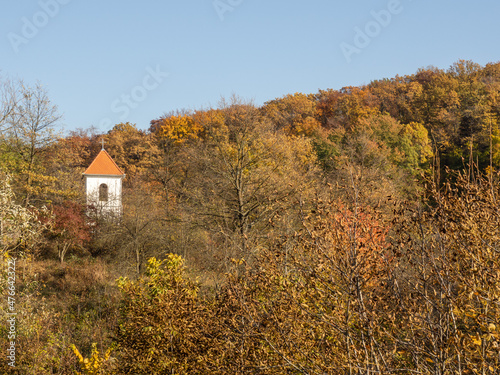 Chapel surrounded by golden yellow forest