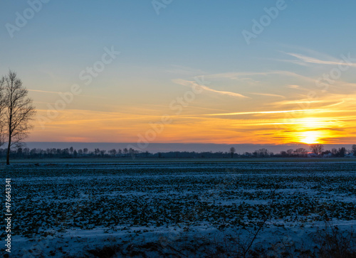 sunset over the field photo
