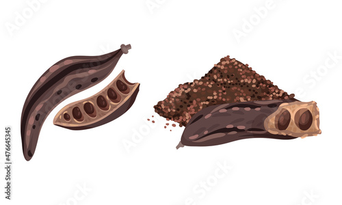 Ripe carob pods set. Organic healthy food vector illustration