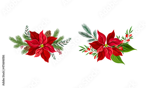 Принти на полотні Poinsettia flower set