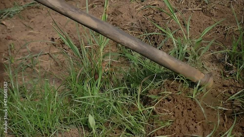 Slow motion of field worker clearing soil from grass and weeds with a hoe as a soil preparation before planting