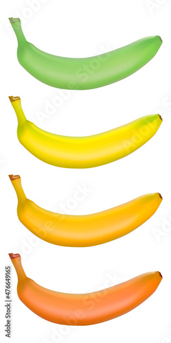 Realistic bananas. Stages of maturation from green to brown. 3 d. Vector illustration