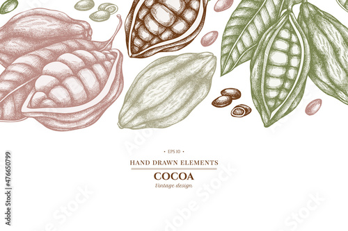 Design with pastel colored cocoa beans, cocoa