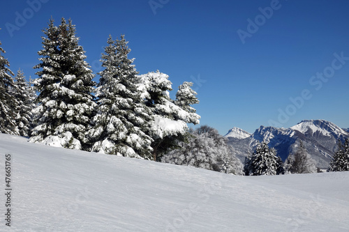 Randonnée en raquettes sur les premières neiges de décembre 2021, sur le plateau du Sornin dans le Vercors en France © Patricia