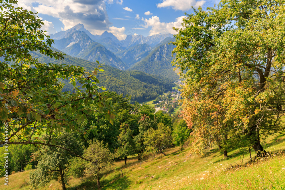 trational farming is still slovenian lifestyle, orchard and a majestic alp view towards Kranjska Gora, Slovenia