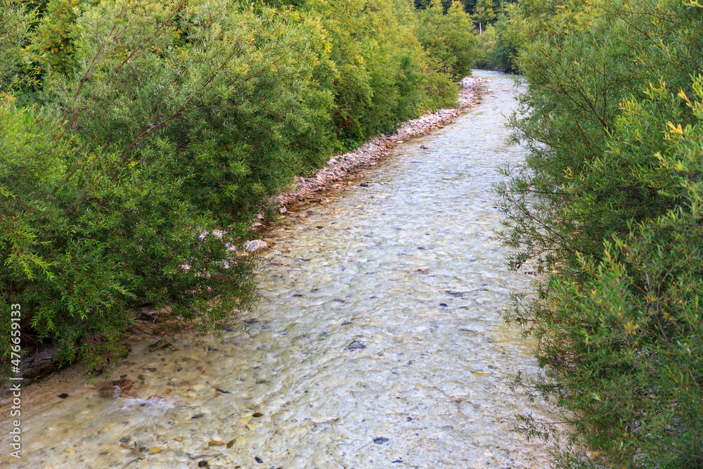 Naklejka premium the river save flows slow through green bushes, Triglav National Park, Slovenia