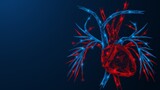 The cardiac system. A human heart with blood vessels located next to it. Low-poly design of interconnected lines and dots.