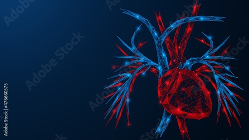 The cardiac system. A human heart with blood vessels located next to it. Low-poly design of interconnected lines and dots. photo