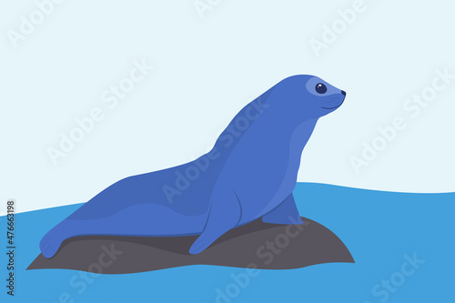 Seal animal cute cartoon character isolated on white background. Vector illustration. Fur seal character. EPS 10