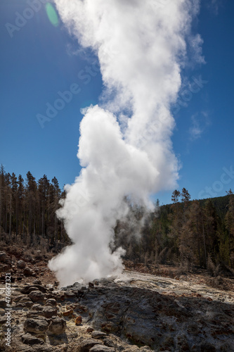 Steamboat Geyser at Norris Geyser Basin in summer, Yellowstone National Park Wyoming hot springs.