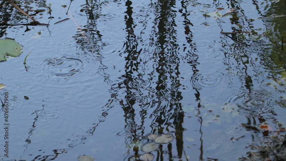 Obraz premium água e reflexos