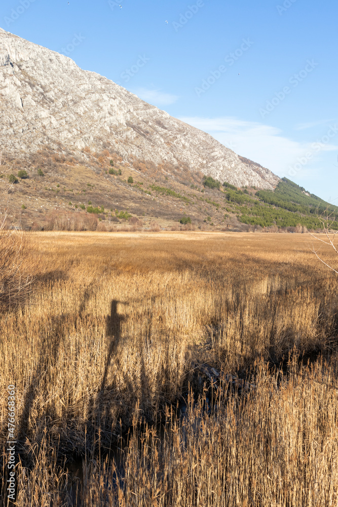 Autumn view of Dragoman marsh, Bulgaria Autumn view of Dragoman marsh, Bulgaria