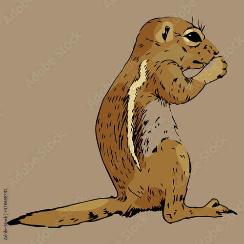 Gnawing wild rodent. Ground squirrel. Prairie dog, Chipmunk. Suslik or Gopher. Hand drawn colorful sketch. Isolated vector illustration.
