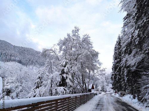 beautiful winter landscape.  transcarpathian region. ukraine photo