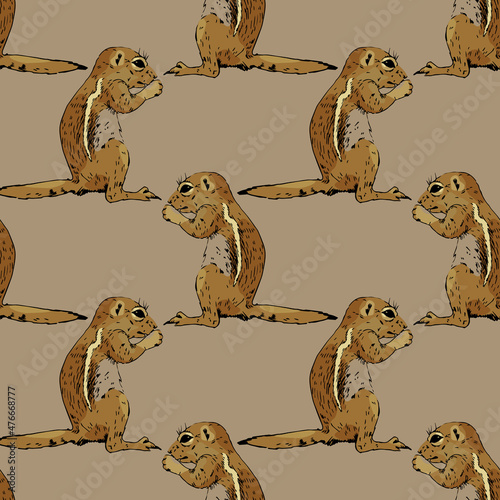 Seamless geometrical animal pattern with hand drawn sketches of wild rodent. Ground squirrel, Prairie dog, Chipmunk, Suslik or Gopher.	