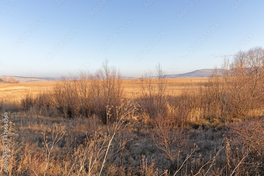 Autumn view of Dragoman marsh, Bulgaria