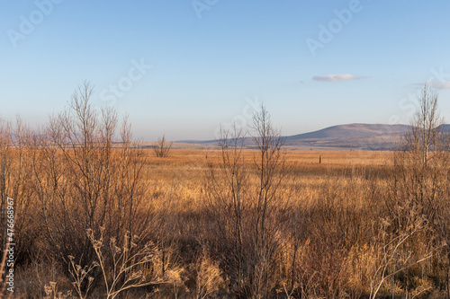 Autumn view of Dragoman marsh, Bulgaria