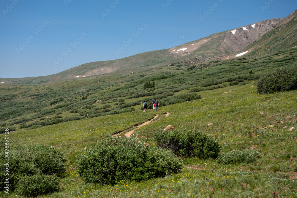 Hikers On A Open Meadow Trail At Guanella Pass