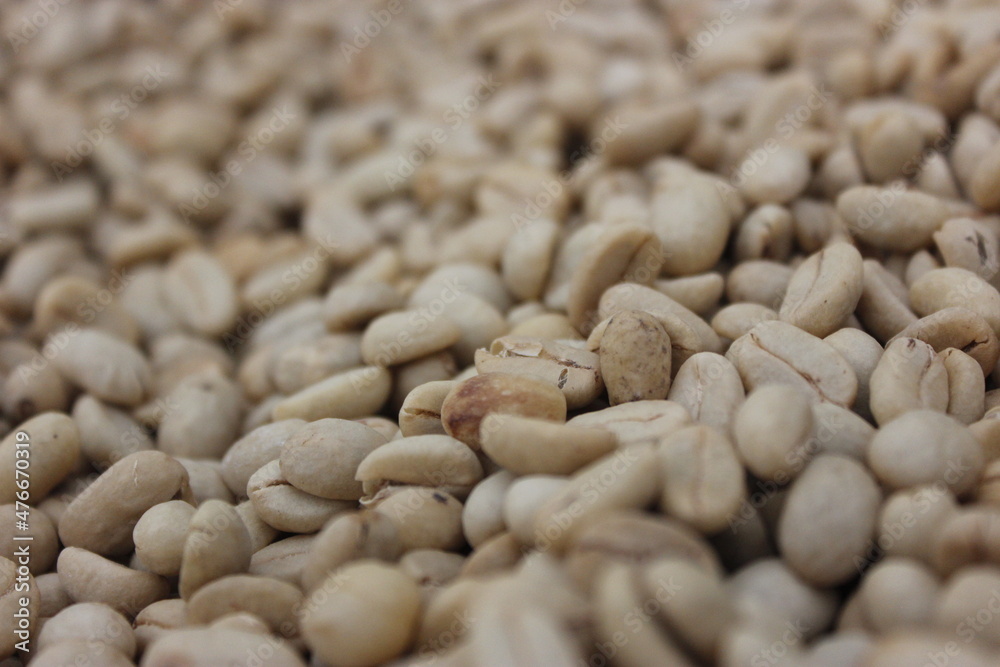 Organic coffee beans 