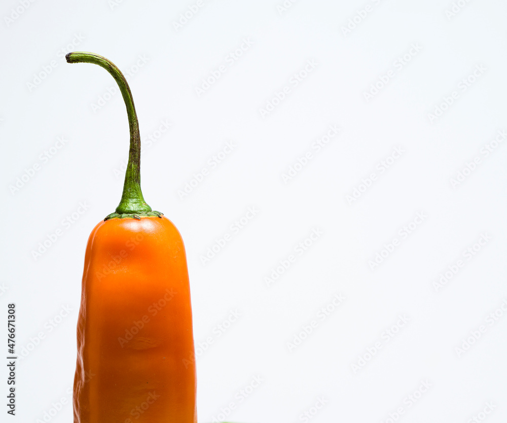 Ají escabeche peruano StockFoto Adobe Stock