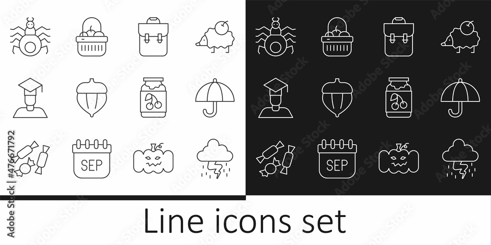 Set line Storm, Umbrella, School backpack, Acorn, Graduate and graduation cap, Spider, Jam jar and Basket food icon. Vector