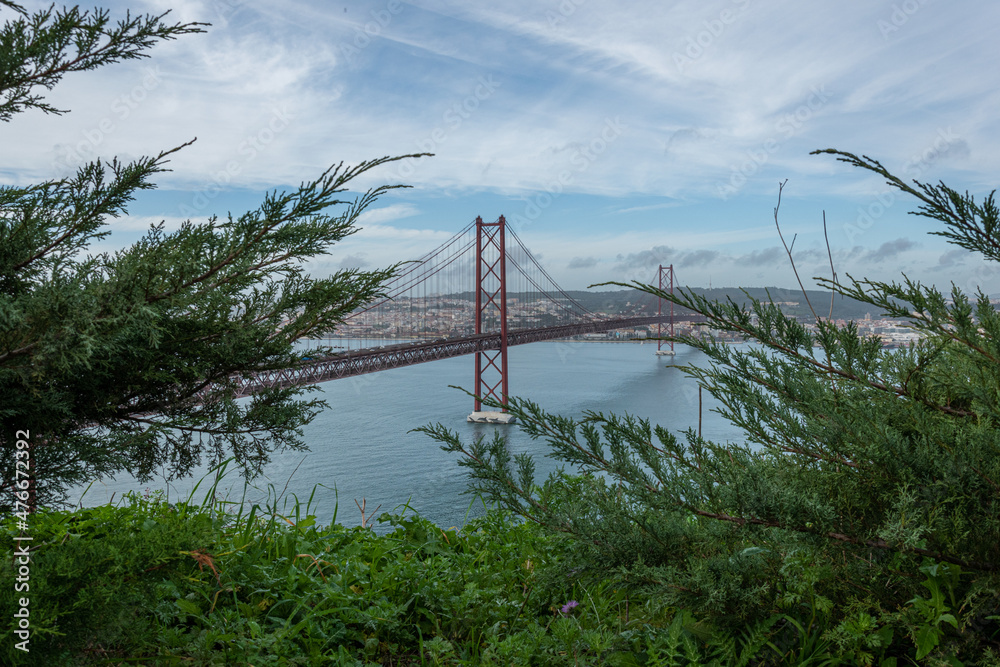 Fototapeta premium bridge on the river