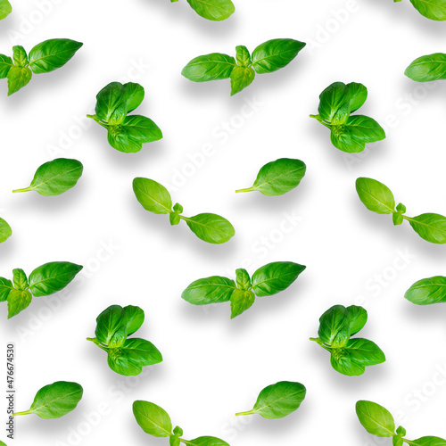 Basil leaves seamless pattern isolated on white background. Top view. Flat lay