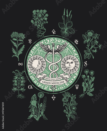 Vector banner on the theme of green medicine with caduceus, sun, moon, magic symbols and medicinal herbs. Hand-drawn vintage illustration with staff of Hermes and curative plants on a black background