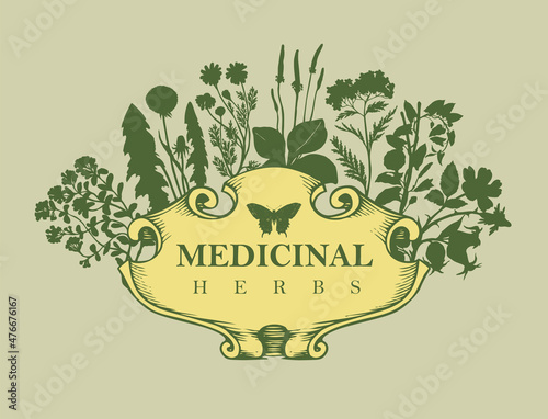 Vector banner or label with the words Medicinal herbs. Vintage frame with medicinal plants in retro style. Beautiful hand-drawn illustration with silhouettes of herbs and flowers on a light background
