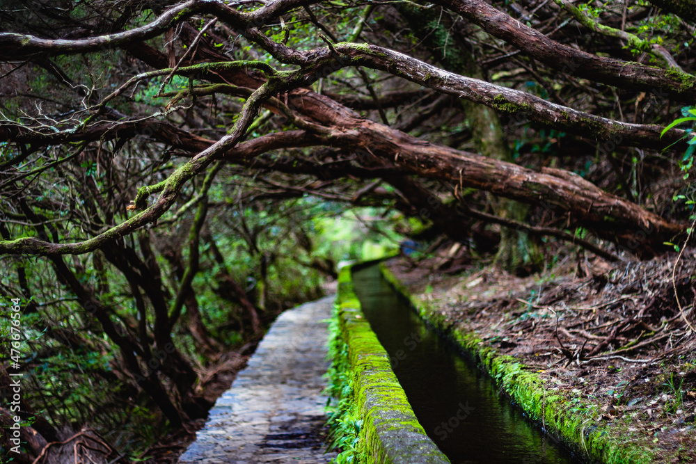 Hiking path to 25 fonte Waterfall in the Island of Madeira Hiking path to 25 fonte Waterfall in the Island of Madeira