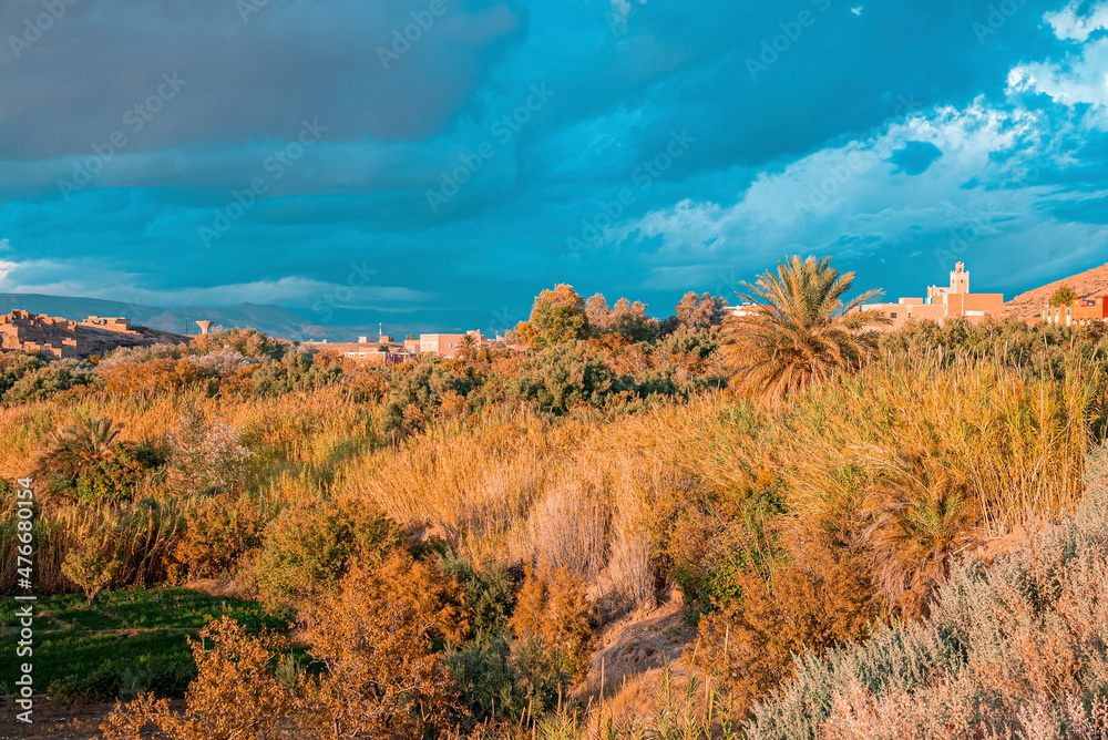 Obraz premium Beautiful scene of landscape with plants against dramatic sky on sunny weather, View of bushes with city in background