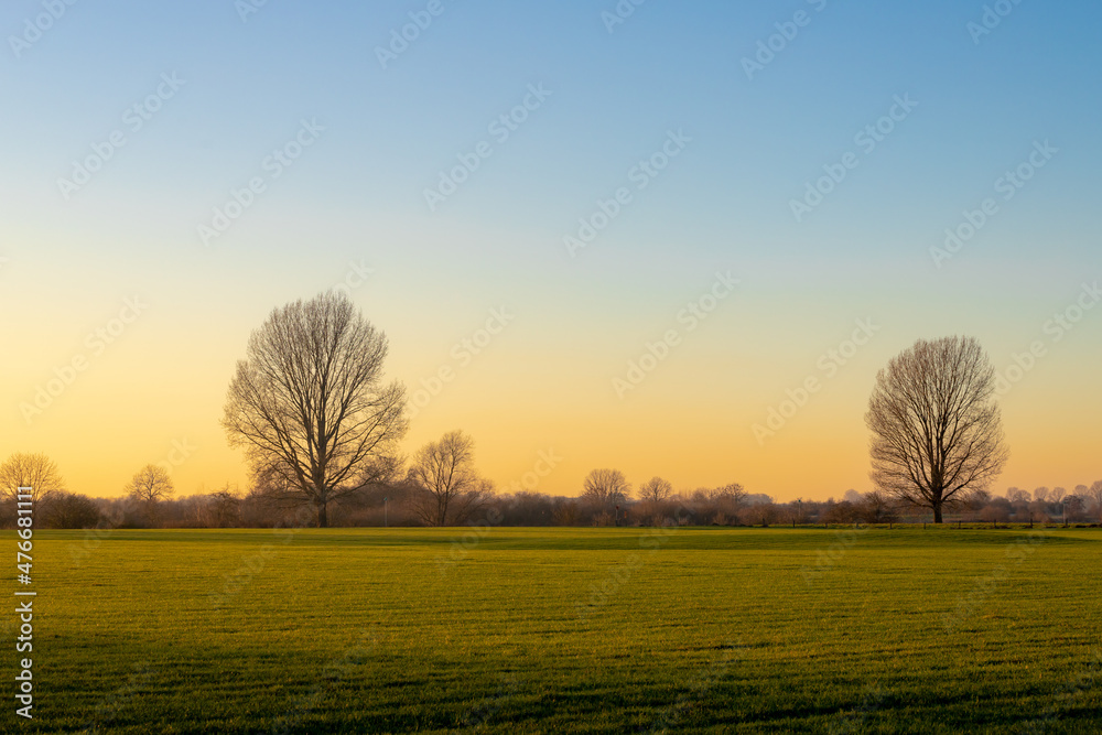 Silhouette of bare tree in winter with warm golden sky during the sunset as background, Dutch countryside landscape with green grass meadow and the polder and low land in the evening, Netherlands.