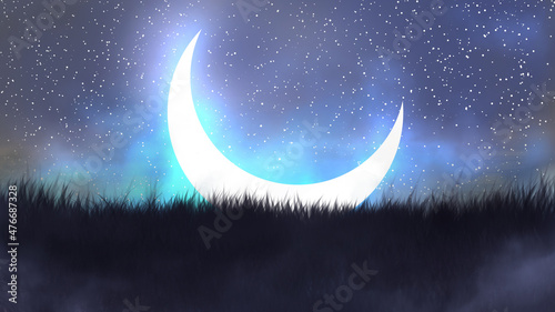 Fotografiet Night landscape depicting a crescent on a starry night among the grass