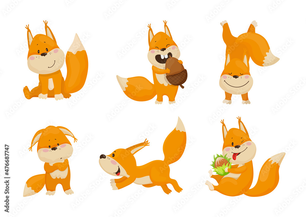 Collection of cartoon illustrations with squirrel performing different actions. Colorful cute character.