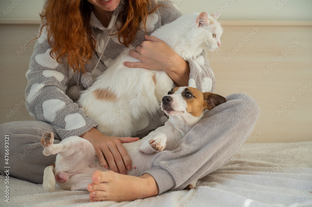 Red-haired Caucasian woman hugging with a dog and a cat. Red-haired Caucasian woman hugging with a dog and a cat.