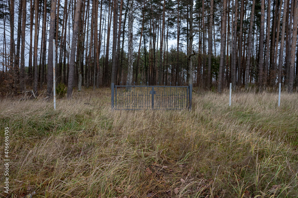 Fototapeta premium metal fence gate in the middle of forest