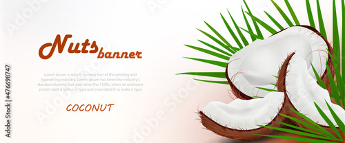 vector example of a horizontal banner with coconut particles and leaves on a light background