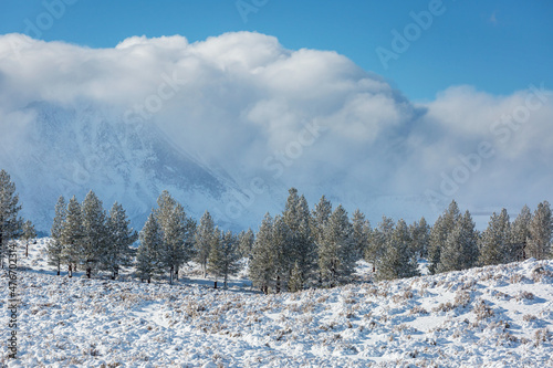 Winter mountains