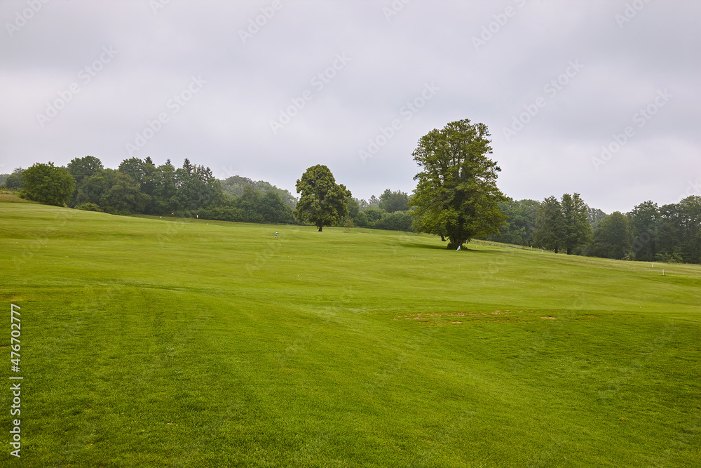 Obraz premium Grüne frische Wiese mit zwei freistehenden Bäumen
