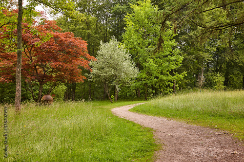 Kurviger Waldweg mit bunten Bäumen