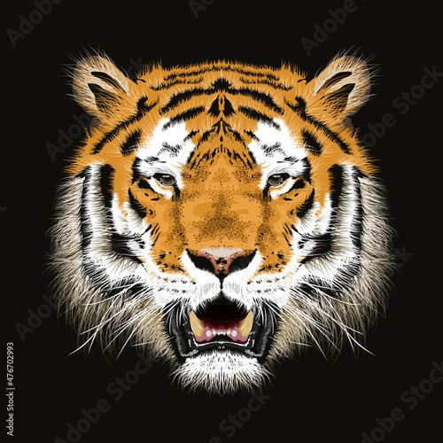 Vector sketch of  bengal tiger head.Animal print.Wildlife. - Vector