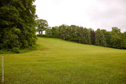 Panorama / Hügelige, grüne Wiese vor grünen Bäumen 