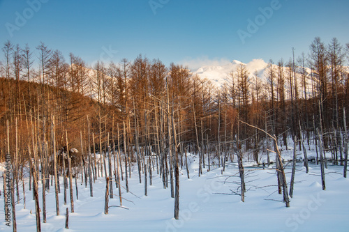 Wallpaper Mural 雪に覆われた青い池
 Torontodigital.ca
